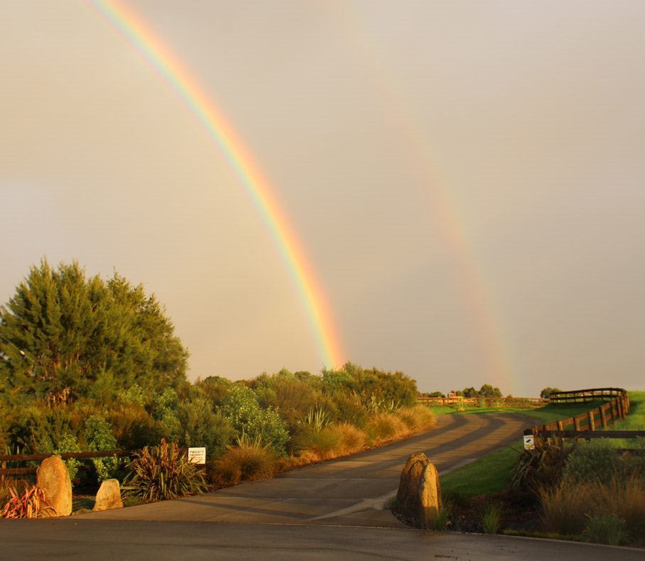 10 House & land for sale Auckland Cambridge Homes