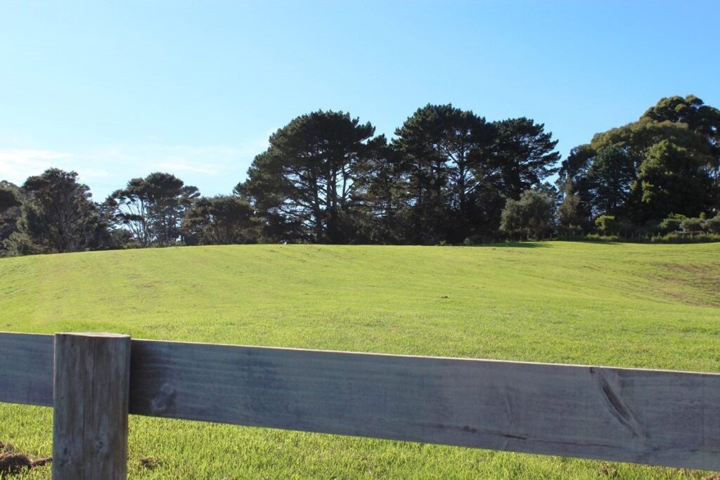 6 House & land for sale Auckland Cambridge Homes