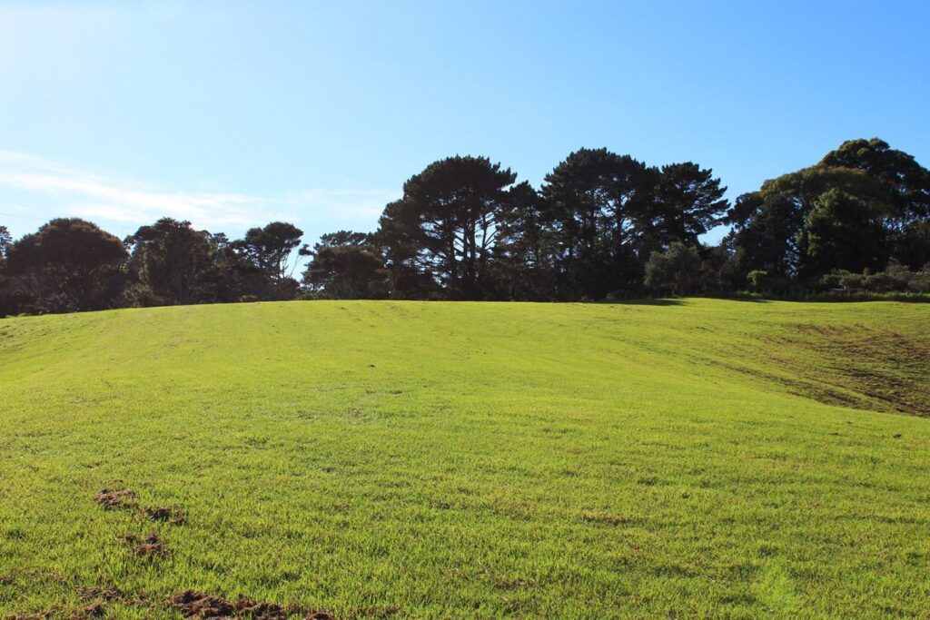 7 House & land for sale Auckland Cambridge Homes
